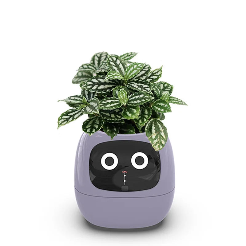 Smart Ivy Plant Pot