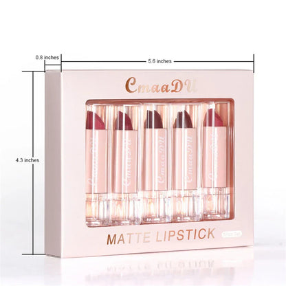 5PC Matte Velvet Lip Gloss Set