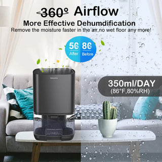 Room Portable Air Dehumidifier