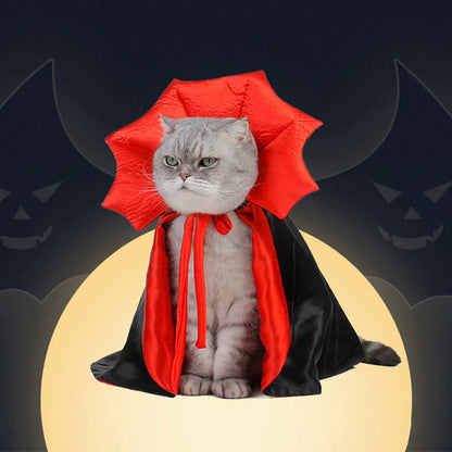 Cute Pet Halloween Costume