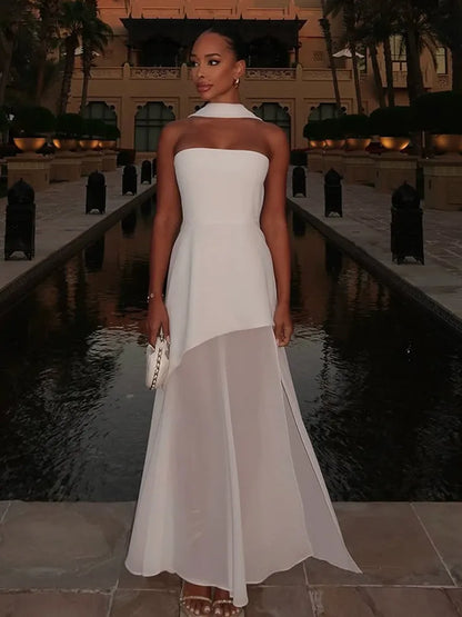 Elegant Mesh Maxi Dress